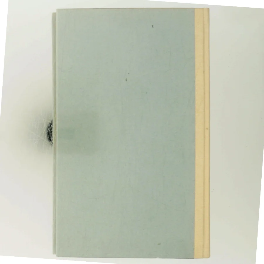 Lille Jonna af Kirsten Thorup (Bog)