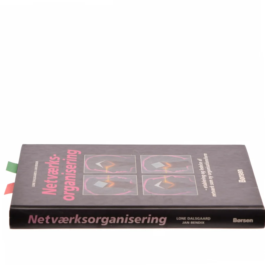 Netværksorganisering (Bog)