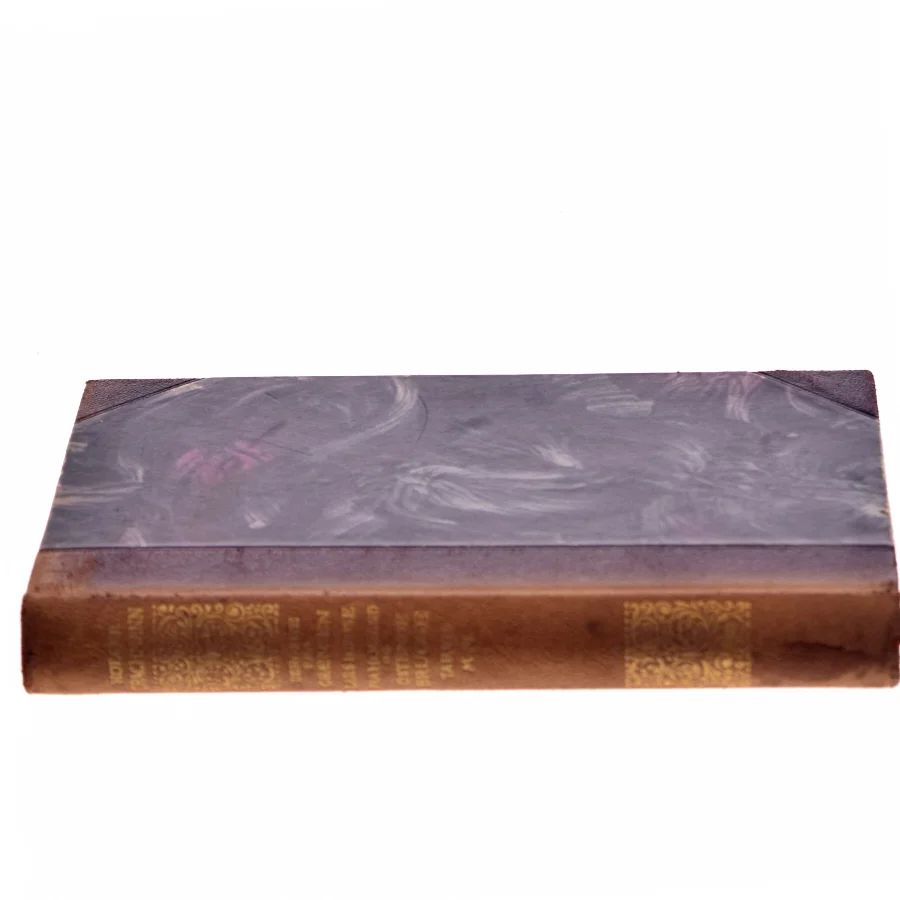 Skildringer af Holger Drachmann (Bog)