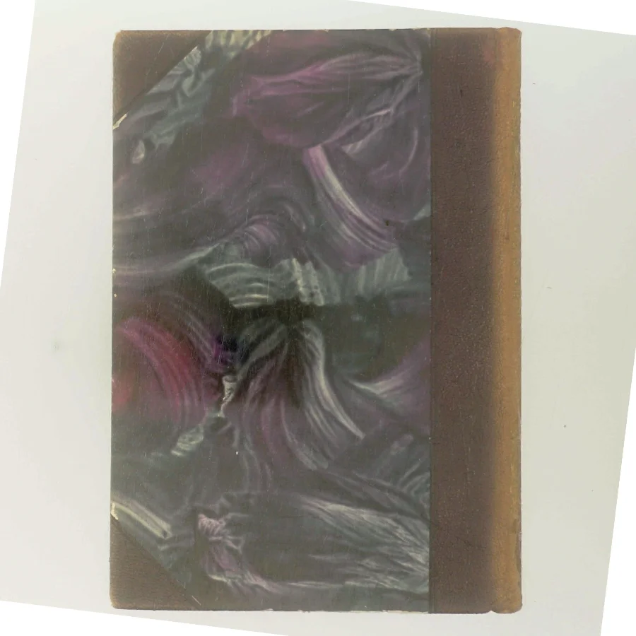 Skildringer af Holger Drachmann (Bog)