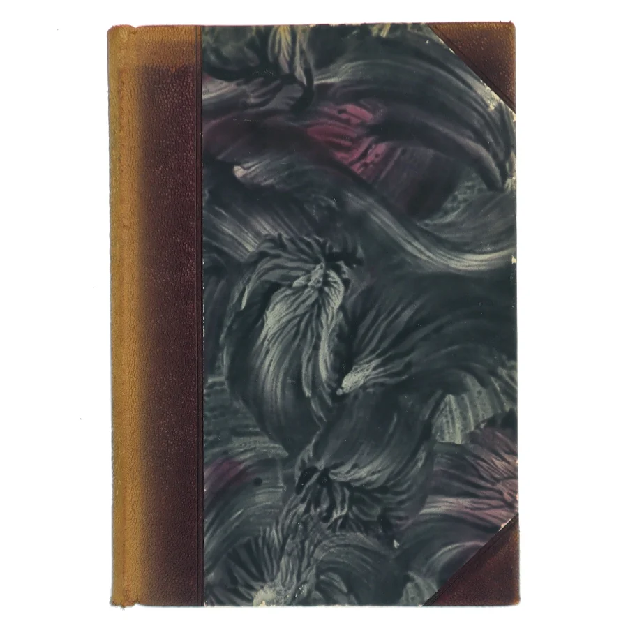 Skildringer af Holger Drachmann (Bog)