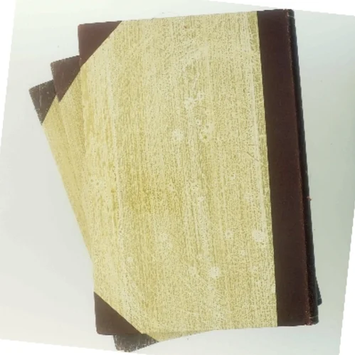 Danmark under den anden verdenskrig af Børge Outze (Bog)