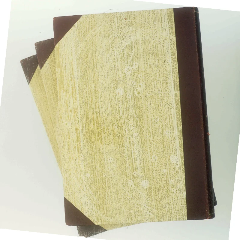 Danmark under den anden verdenskrig af Børge Outze (Bog)