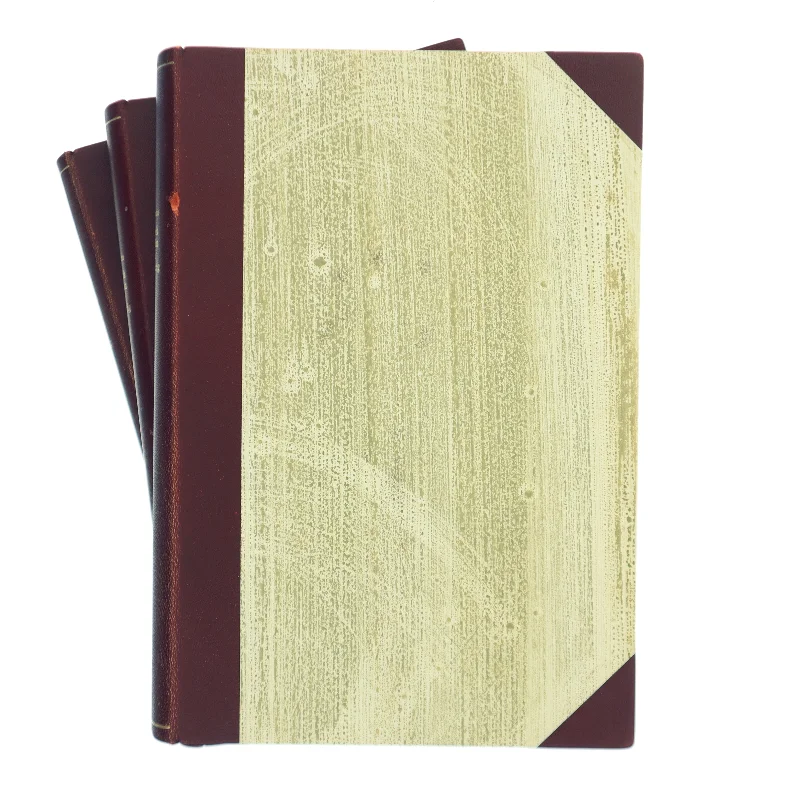 Danmark under den anden verdenskrig af Børge Outze (Bog)