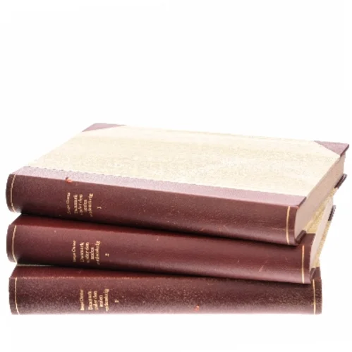 Danmark under den anden verdenskrig af Børge Outze (Bog)