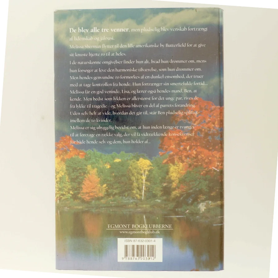 Rør himlen af Susan Madison (Bog)