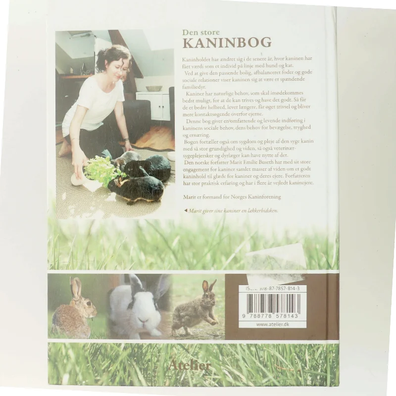Den store kaninbog af Marit Emilie Buseth (Bog)