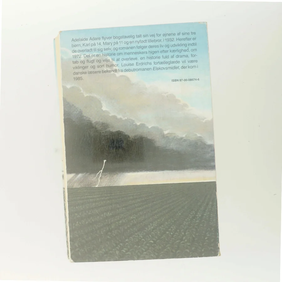 Himmelflugt af Louise Erdrich (Bog)