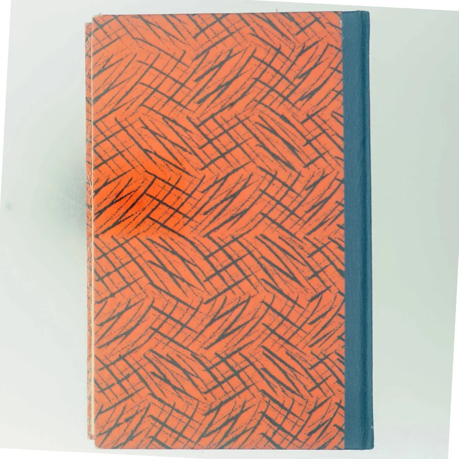 Terror af Torben Nielsen (Bog)