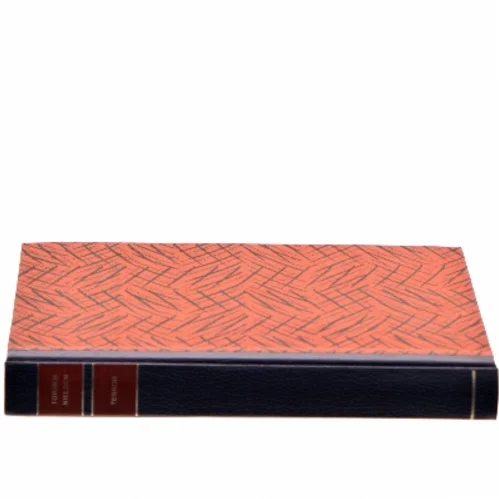 Terror af Torben Nielsen (Bog)