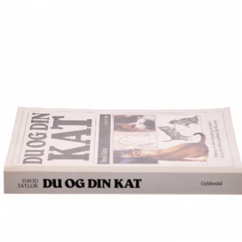 Du og din kat af David Taylor (Bog)