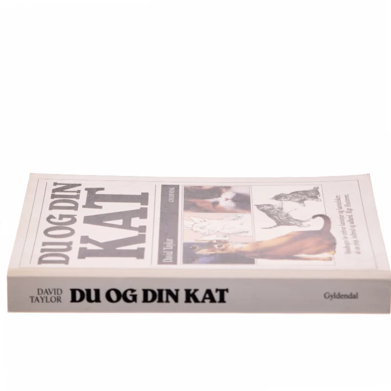 Du og din kat af David Taylor (Bog)