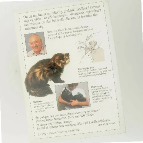 Du og din kat af David Taylor (Bog)