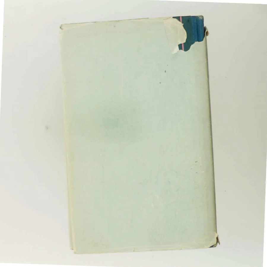 Lille menneske af Charlotte Strandgaard (Bog)