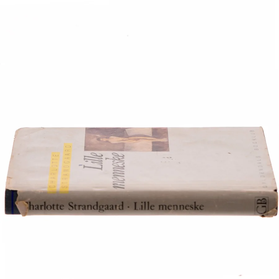 Lille menneske af Charlotte Strandgaard (Bog)