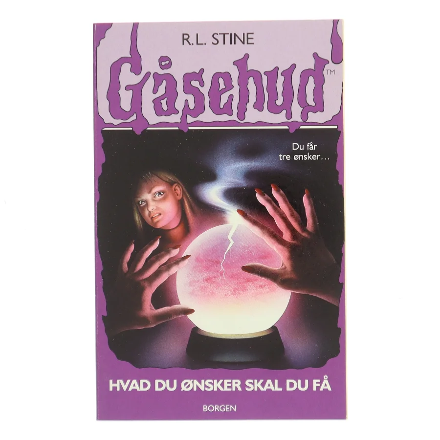 Hvad du ønsker skal du få af R. L. Stine (Bog)