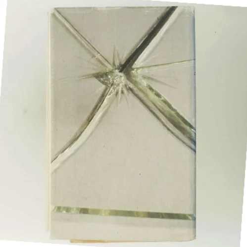 Fældende Beviser af Scott Turow (Bog)