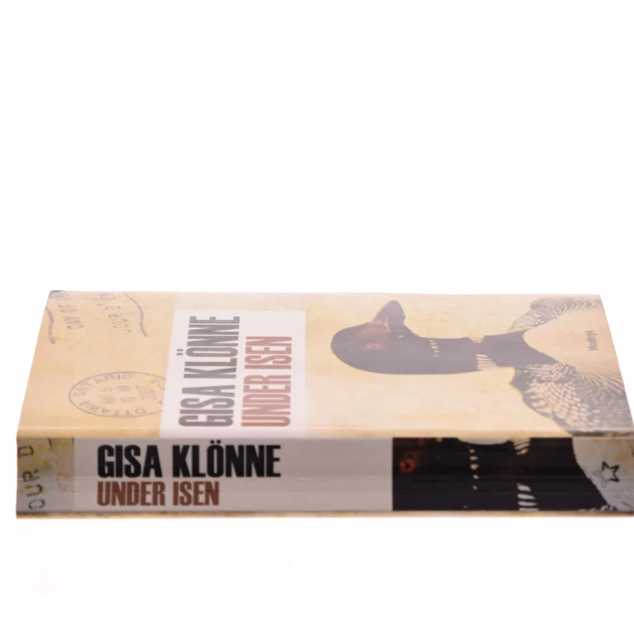 Under isen af Gisa Klönne (Bog)