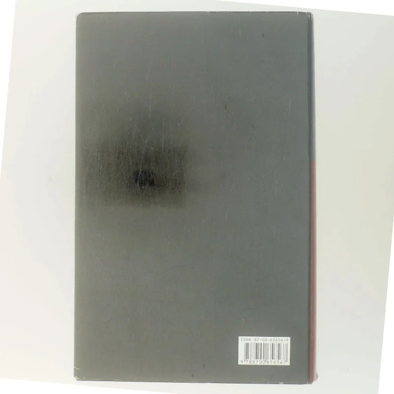 Inden frosten : kriminalroman af Henning Mankell (Bog)