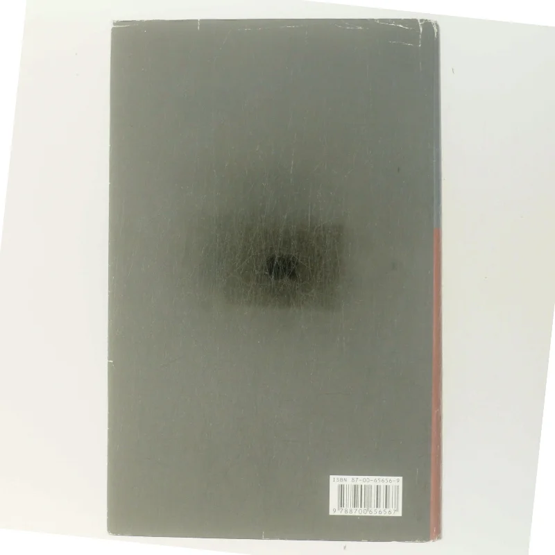 Inden frosten : kriminalroman af Henning Mankell (Bog)