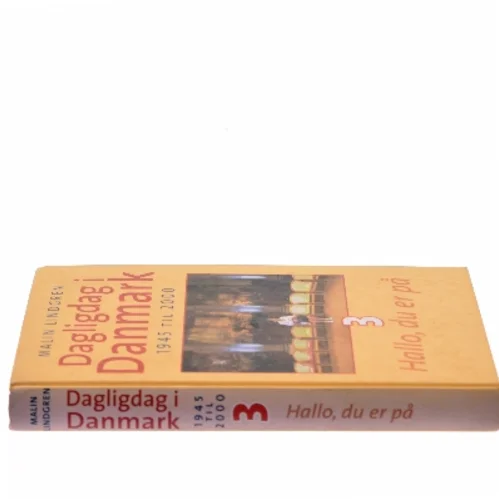Dagligdag i Danmark : 1945-2000 : Bind 3 af Malin Lindgren (Bog)