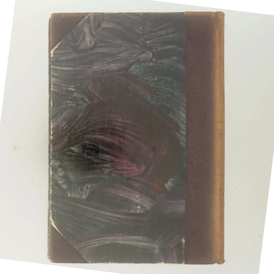 Digte 1872-79: Prinsessen og det halve kongerige af Holger Drachmann (Bog)