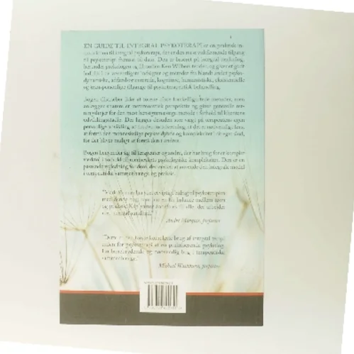 En guide til integral psykoterapi : terapi og spiritualitet i praksis af Mark D. Forman (Bog)