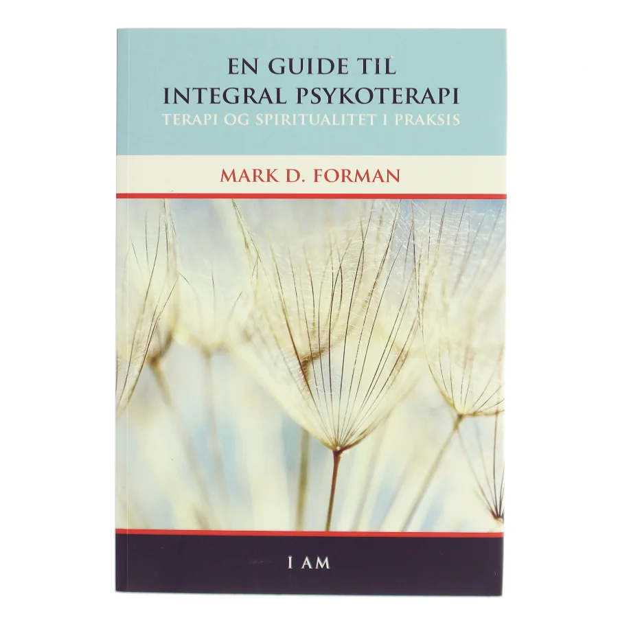 En guide til integral psykoterapi : terapi og spiritualitet i praksis af Mark D. Forman (Bog)