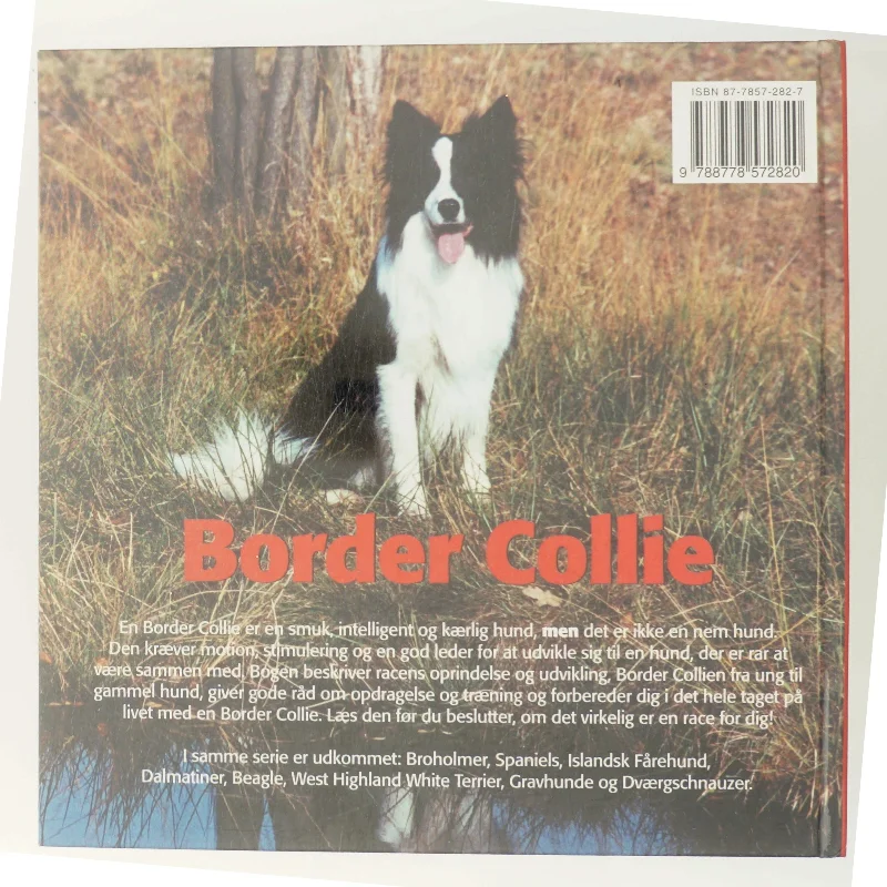 Border Collie af Emmy Simonsen (Bog)