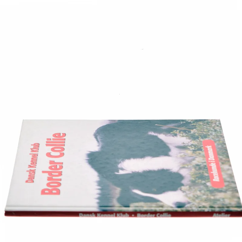 Border Collie af Emmy Simonsen (Bog)