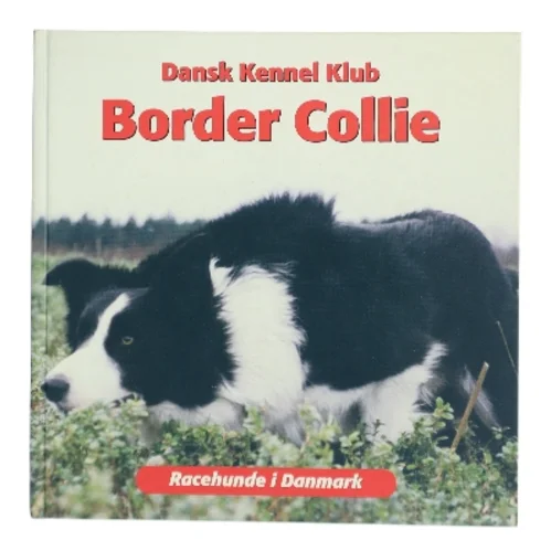 Border Collie af Emmy Simonsen (Bog)