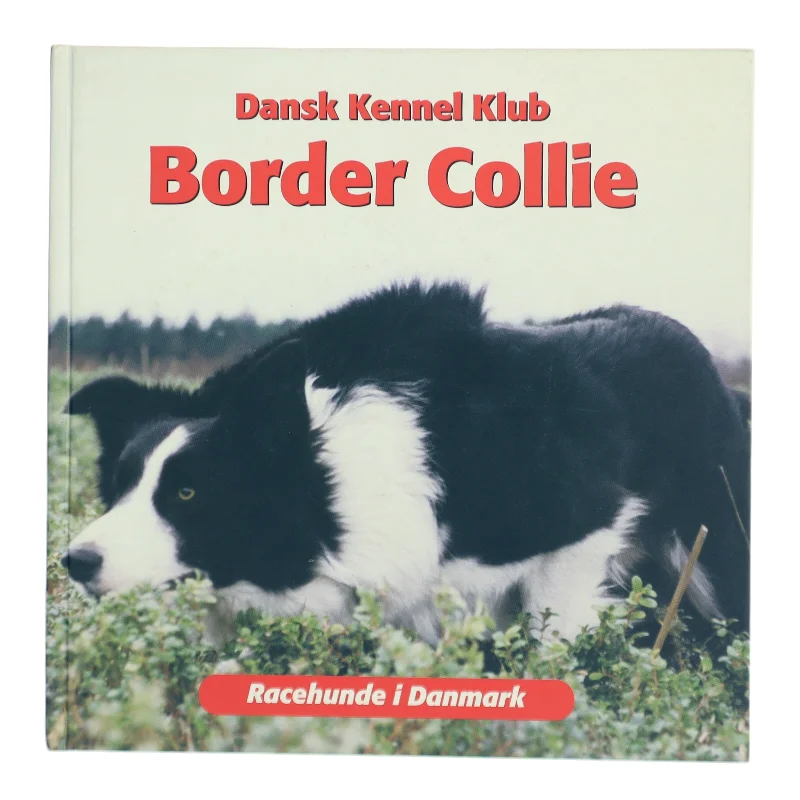 Border Collie af Emmy Simonsen (Bog)