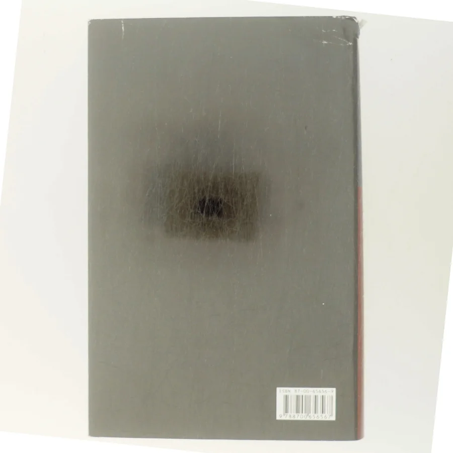 Inden frosten : kriminalroman af Henning Mankell (Bog)