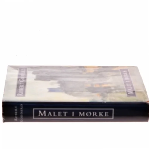 Malet i mørke af Robert Goddard (Bog)