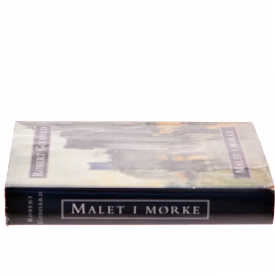 Malet i mørke af Robert Goddard (Bog)