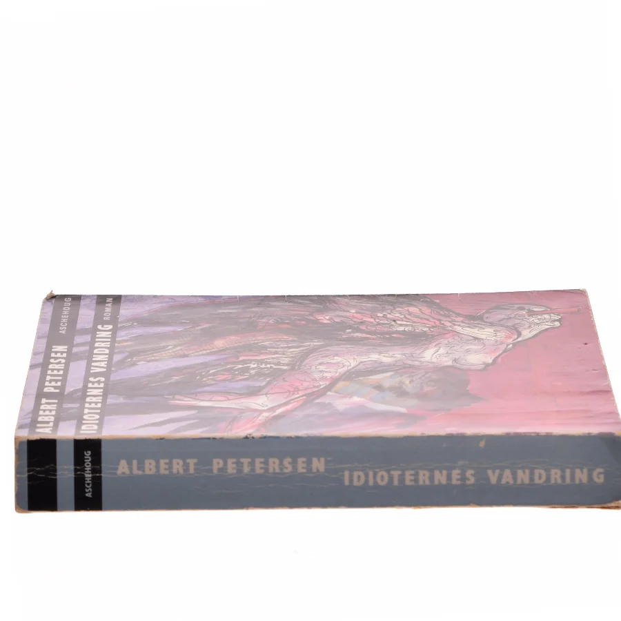 Idioternes vandring : en roman af Albert Petersen (f. 1952) (Bog)