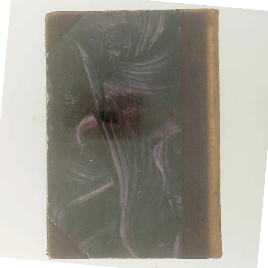 Sagn af Holger Drachmann (Bog)