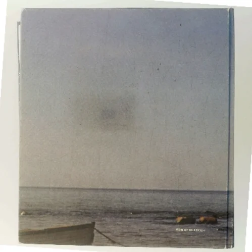 Lysmageren af Paul Hammerich (Bog)