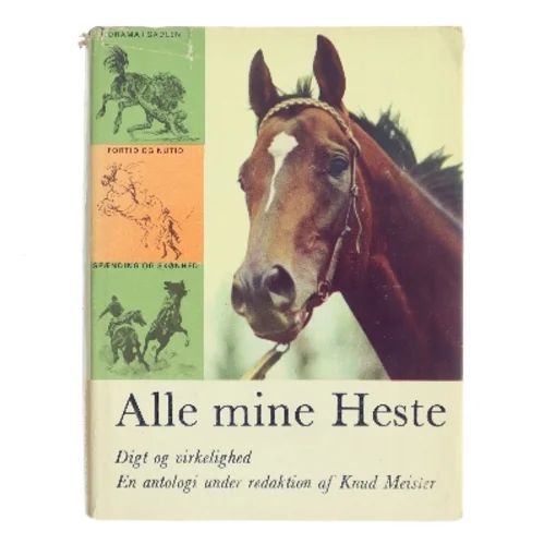 Alle mine Heste af Knud Meister (Bog)
