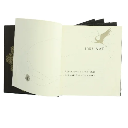 1001 Nat (Bog)
