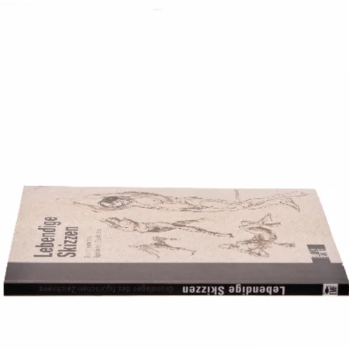 Lebendige Skizzen af Jeff Mellem (Bog)