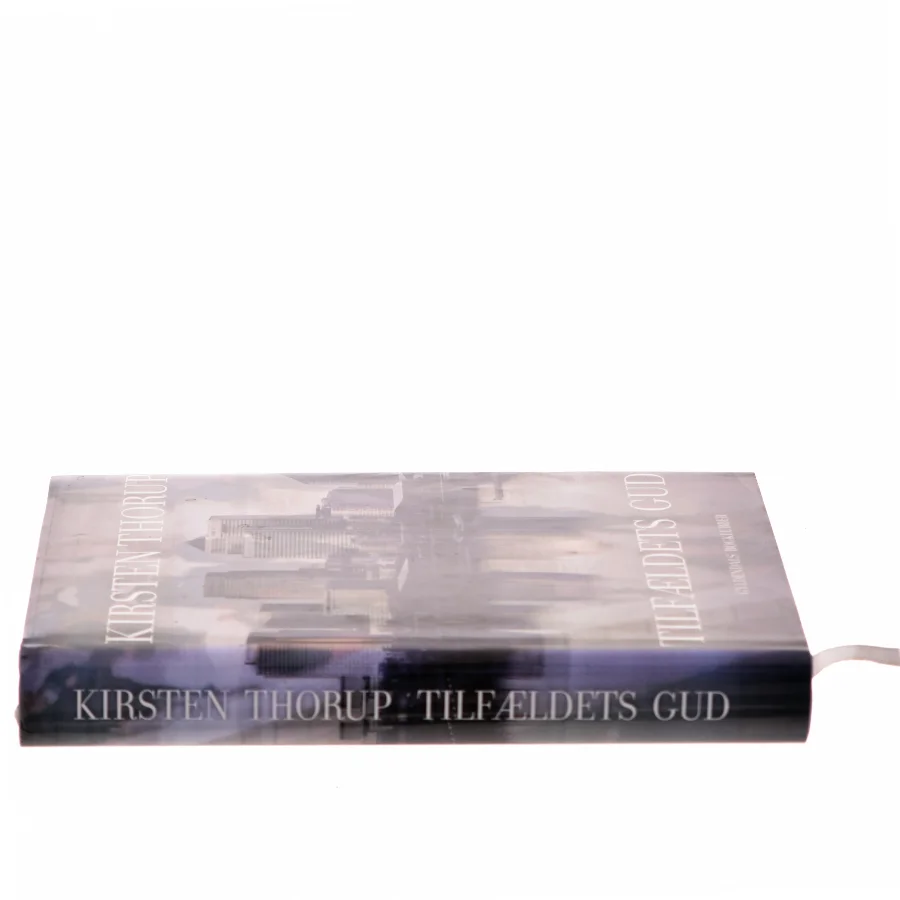 Tilfældets gud : roman af Kirsten Thorup (Bog)