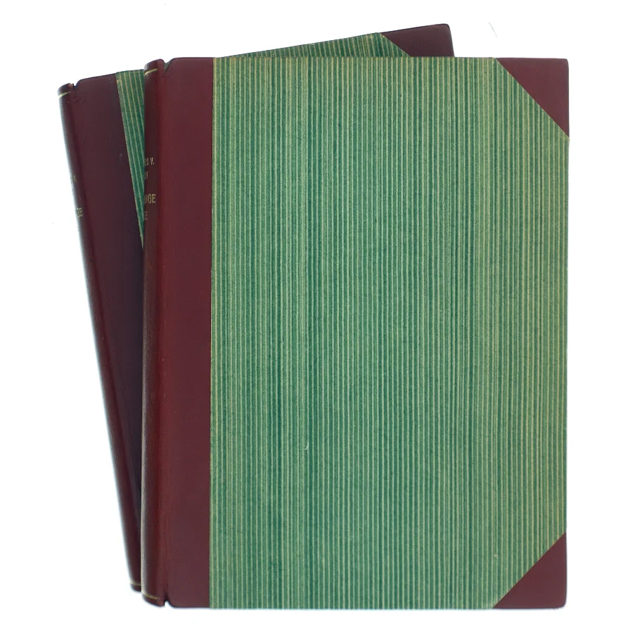 Den lange Rejse 1 af Johannes V. Jensen (Bog)
