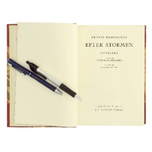 Efter Stormen af Ernest Hemingway (Bog)