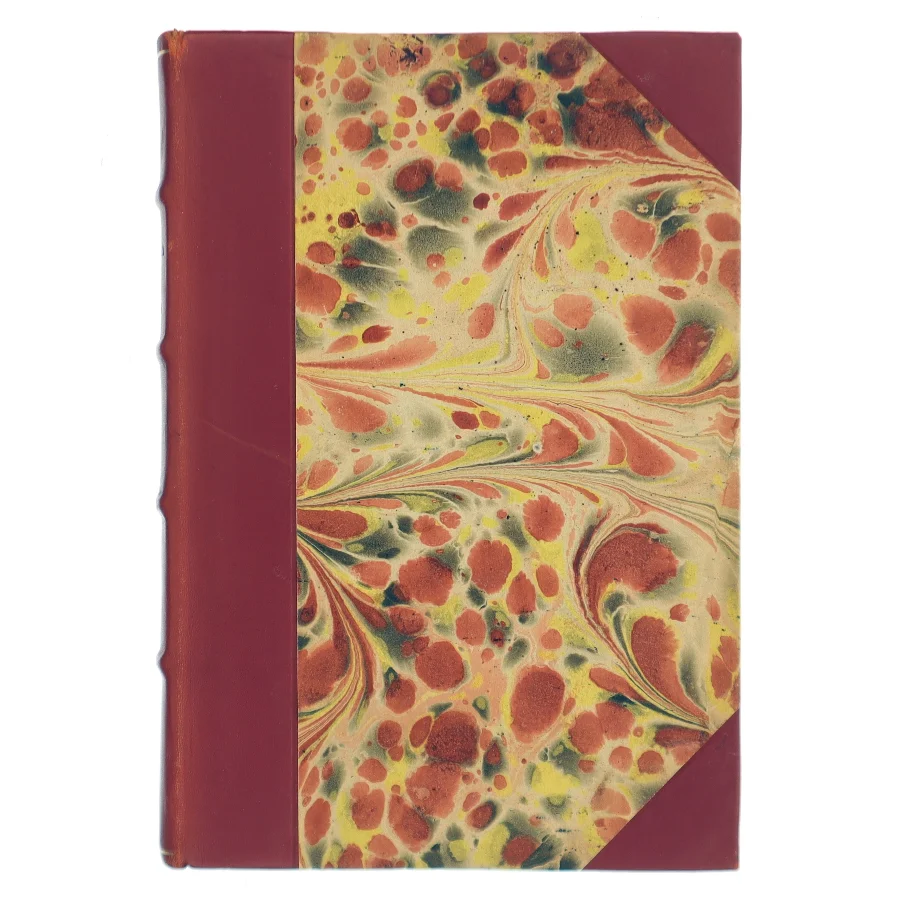 Efter Stormen af Ernest Hemingway (Bog)