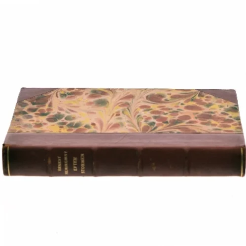 Efter Stormen af Ernest Hemingway (Bog)