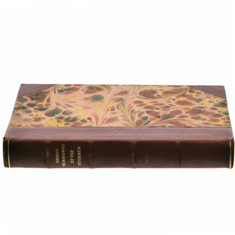 Efter Stormen af Ernest Hemingway (Bog)