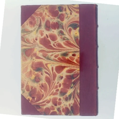 Efter Stormen af Ernest Hemingway (Bog)