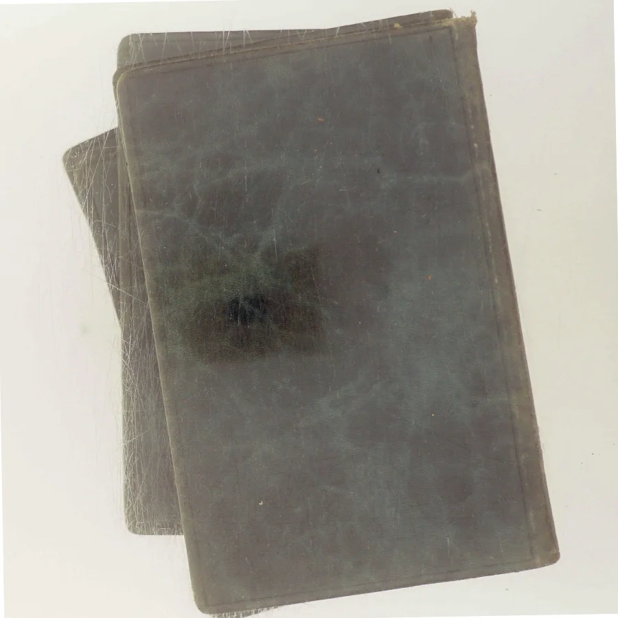 Værker i Udvalg - Syvende Bind af Rudyard Kipling (Bog)