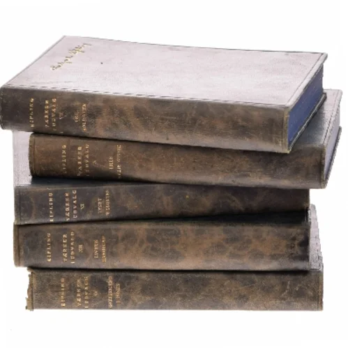 Værker i Udvalg - Syvende Bind af Rudyard Kipling (Bog)